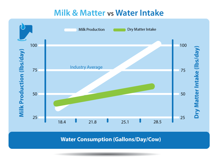 Dairy vs water intake