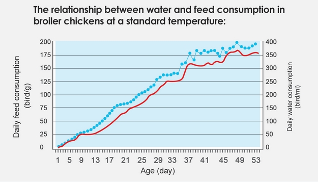 Graph showing that increased water consumption corresponds to increased feed consumption